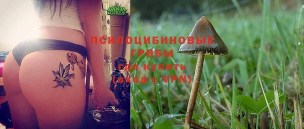 MDMA Бородино