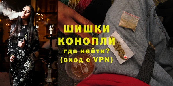 молекула духа Бронницы