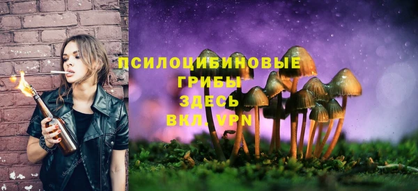 винт Верея