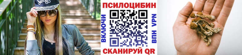 Псилоцибиновые грибы Cubensis  Каменка 